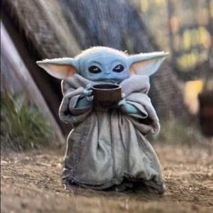 Meet your Posher, Stella